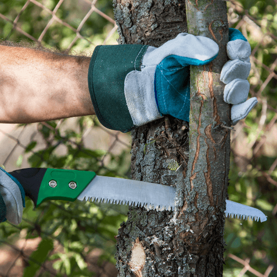 Picture of a gloved hand holding a small tree branch and sawing with the other hand